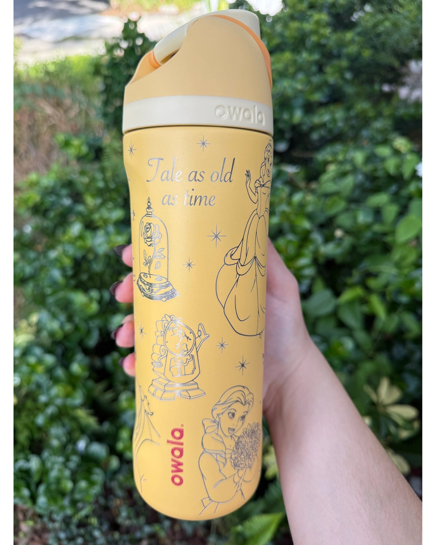 Belle 24 Oz FreeSip